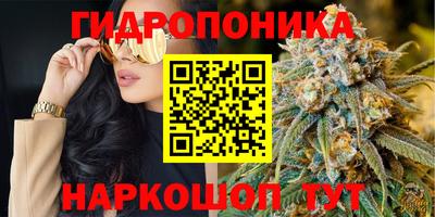 гидропоника Заводоуковск