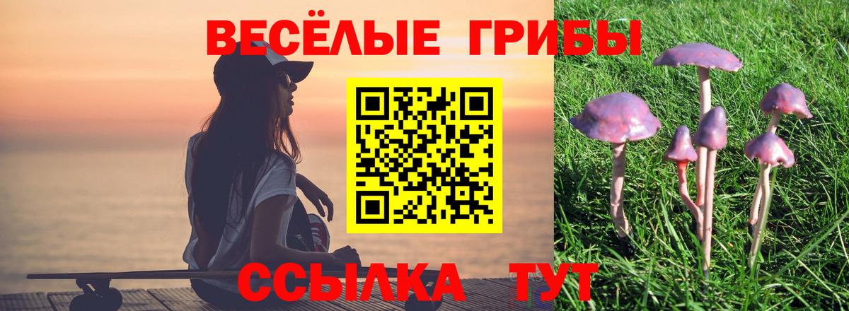 Псилоцибиновые грибы MAGIC MUSHROOMS  Вход с VPN  Дюртюли 